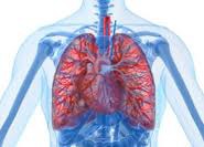 What impairs lung function, particularly in the pulmonary vessels where blood accumulates ( congestion in the lungs)?