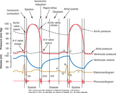 What period of the cardiac cycle is most shortened in sinus tachycadia? When does most of the LV filling occur?