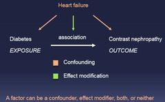 A factor can be which of the following? a.) a confounder b.) an effect modifier c.) both d.) neither e.) all of the above