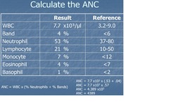 Absolute Neutrophil Count (ANC)