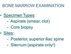 Bone Marrow Examination