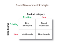 Brand Development Strategies