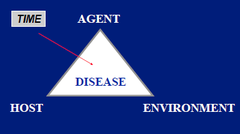 Briefly explain and draw the communicable disease model (epidemiologic triangle).