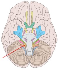 CNXII-12