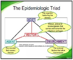 Diseases result from an interaction of the Epidemiologic Triad  HOST AGENT ENVIRONMENT