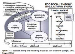 Ecosocial causal model (Krieger 2008)