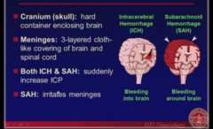 Hemorrhage & the Brain Coverings