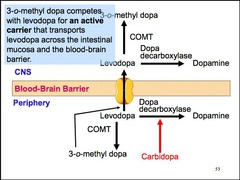 Inhibition of DOPA decarboxylase by carbidopa increases what peripheral metabolite?