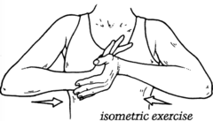 Isometric exercises