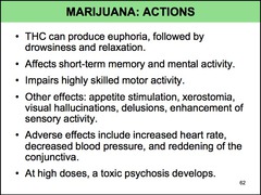Marijuana adverse effects (3/4)