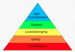 Maslow's 5 levels of need