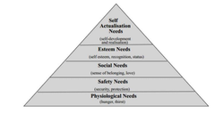 Maslow's Hierarchy of Needs- physcological