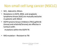 Non-small cell lung cancers include: