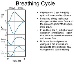 Normally, pressure in the pleural space is: