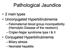 Pathologic jaundice