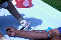 phlebotomy