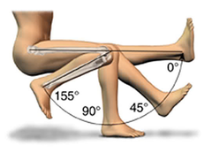 Range of motion of the Knee