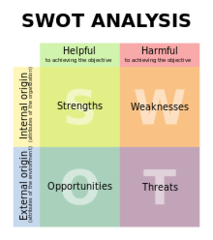 SWOT Analysis (strength / weaknesses and threats)
