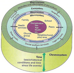 The ecological model