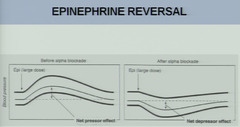 The systemic blood pressure decreases in response to epinephrine given with pretreatment of phenoxybenzamine. What is this phenomenon called?
