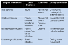 What are the surgical Interventions for Urological Cancer: