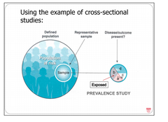 What is relative risk in a cross-sectional study really a measure of?