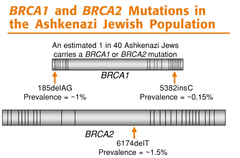 What is the inherited gene mutation the identifies families at significant risk for breast cancer & ovarian cancer?