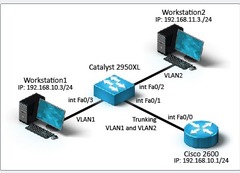YOu want to verify that trunking is enable between the Catalyst 2950XL switch and the Cisco 2600 router. Which command must you enter?