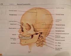 1. Skull Assessment (Objective)