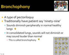 Bronchophony