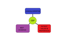 Components of Evidence-Based Practice