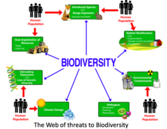 Introduction to conservation medicine and threats to biodiversity ...