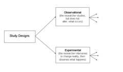 distinguishing between observational and experimental studies