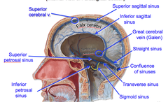 Dural Folds and Venous Sinuses