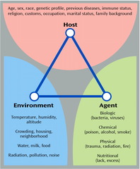 Epidemiological triangle