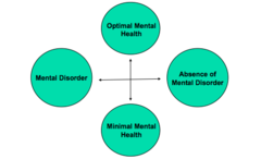 Epp Report - mental health continuum