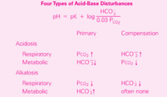 Four Types of Acid Base Disturbance