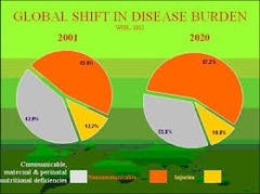 Global Health Measures:Global Burden of Disease (GBD)