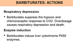 How do Barbiturates effect respiratory system and the CYP450 enzymes