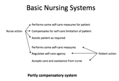 In basic nursing systems, identify the nurses actions in the *Partly compensatory system*.