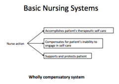 In basic nursing systems, identify the nurses actions in the *Wholly compensatory system*.