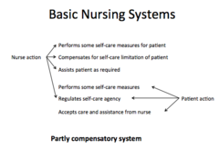 In basic nursing systems, identify the *patients* actions in the *Partly compensatory system*.