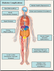 Macrovascular complications of diabetes can include: