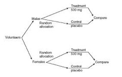 Randomized Block Design