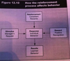 *Reinforcement Theory*