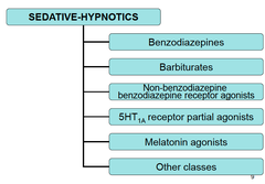 Review the sedative-hypnotic drugs