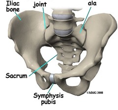 sacr/o