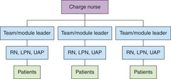 Team Nursing