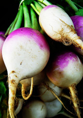 Turnip