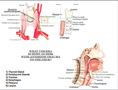 Viscera of the neck